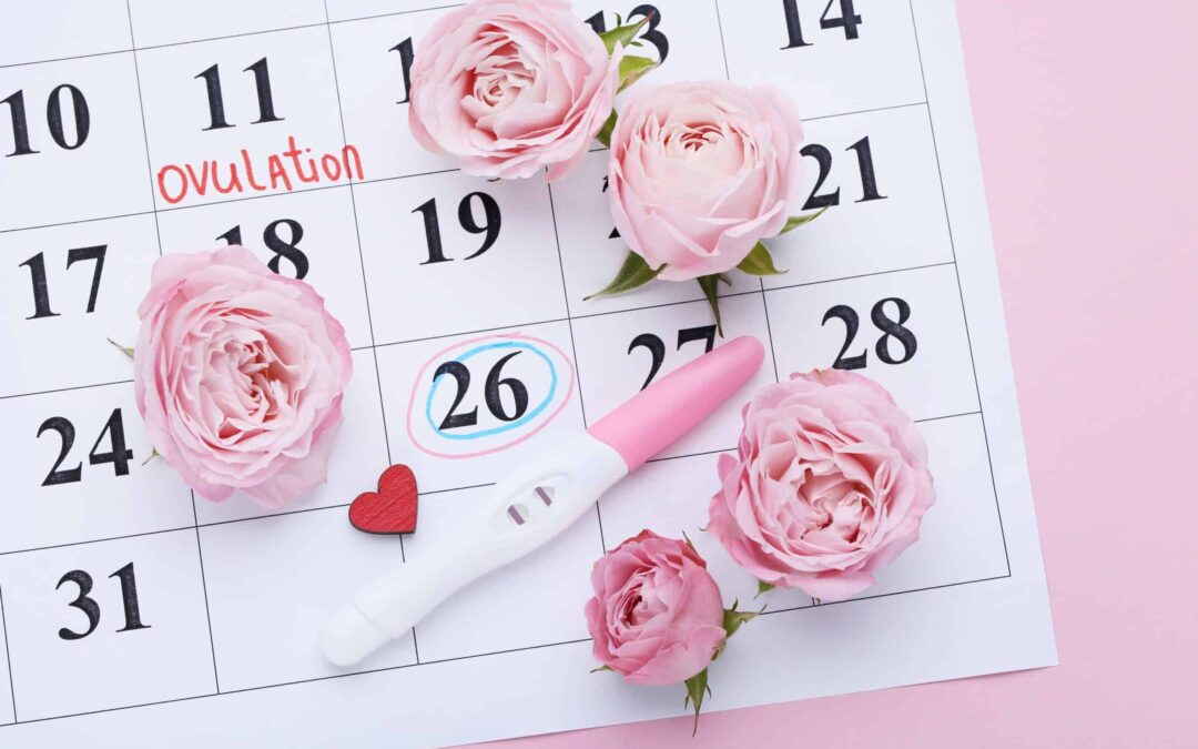 When Do You Ovulate If You Have 45-Day Cycles?